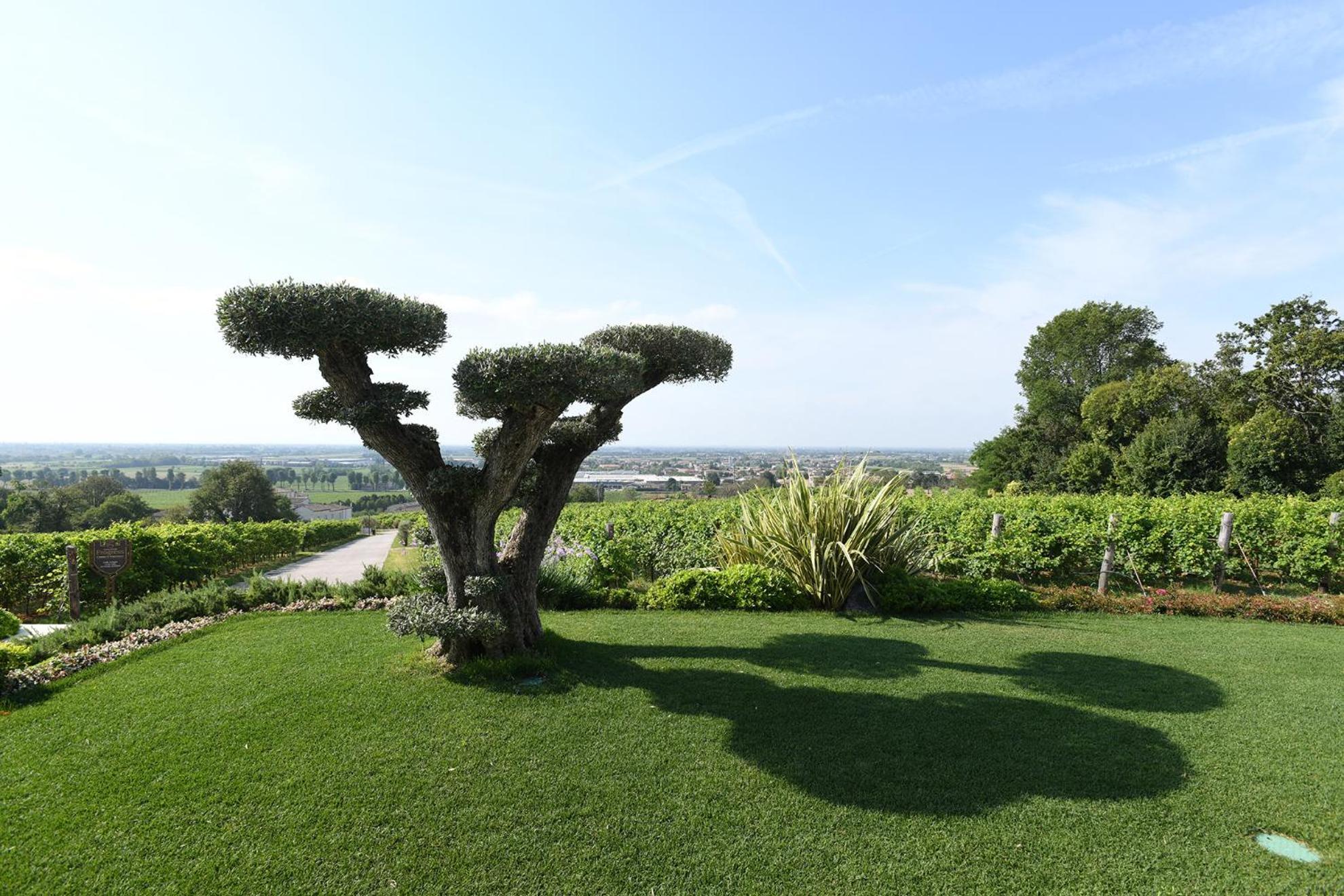 Progress Country & Wine House Aparthotel Asolo Buitenkant foto
