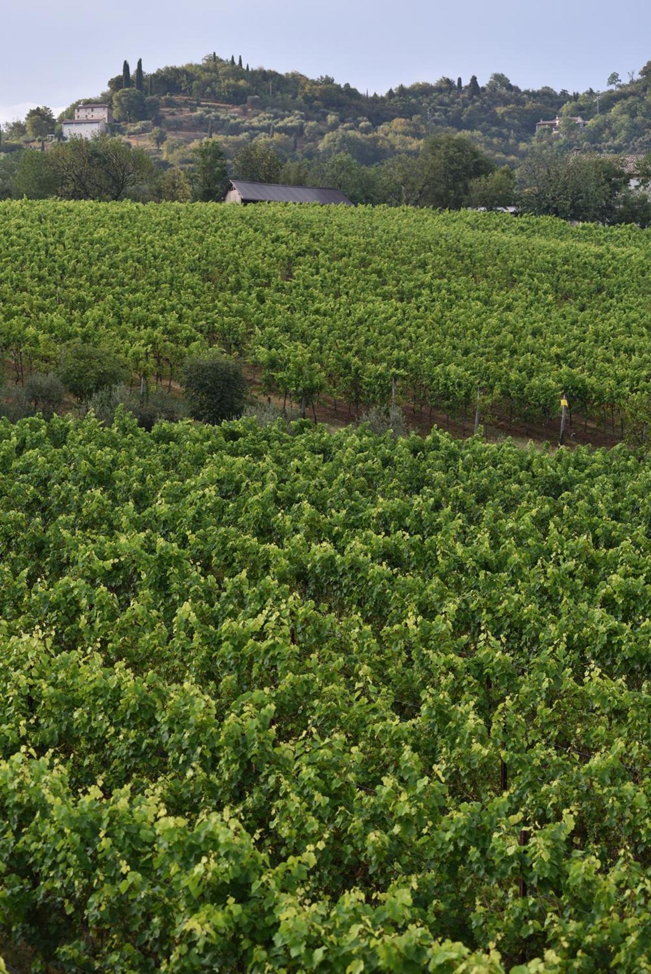 Progress Country & Wine House Aparthotel Asolo Buitenkant foto